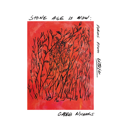 Caleb Nichols 'Stone Age Is Now: Poems from Lithic' PRE-ORDER