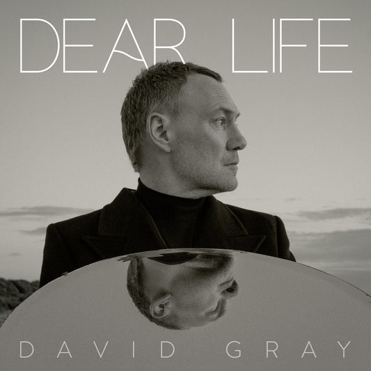 David Gray 'Dear Life' Vinyl LP - Green (Slightly Damaged Sleeve)