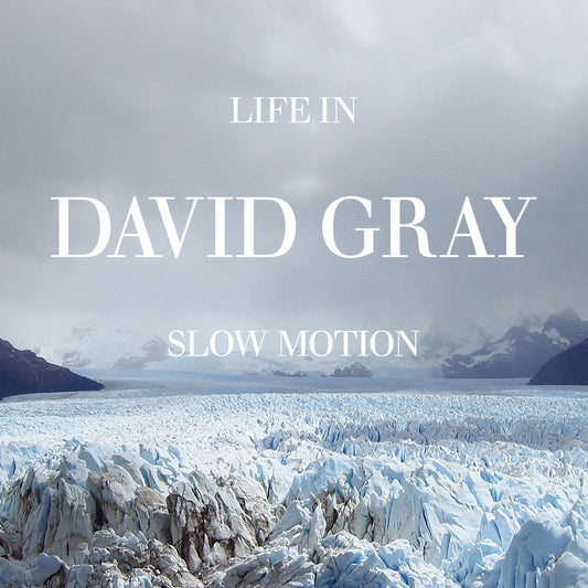 David Gray 'Life in Slow Motion (20th Anniversary Edition)'