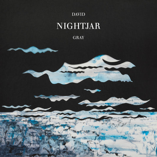 David Gray 'Nightjar'