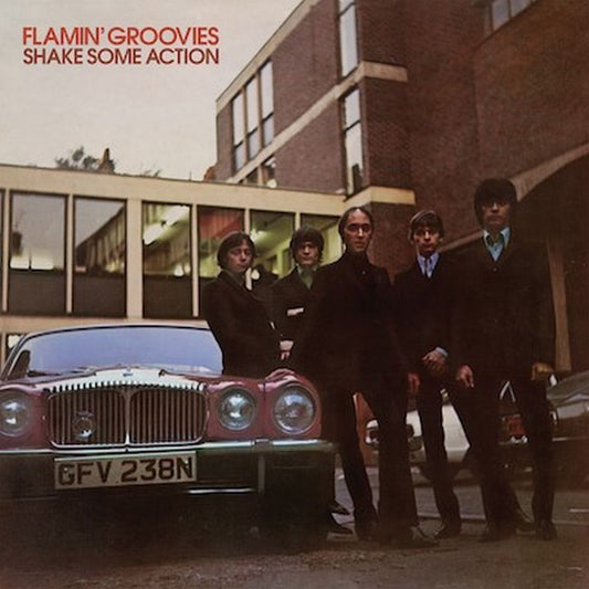Flamin’ Groovies 'Shake Some Action'