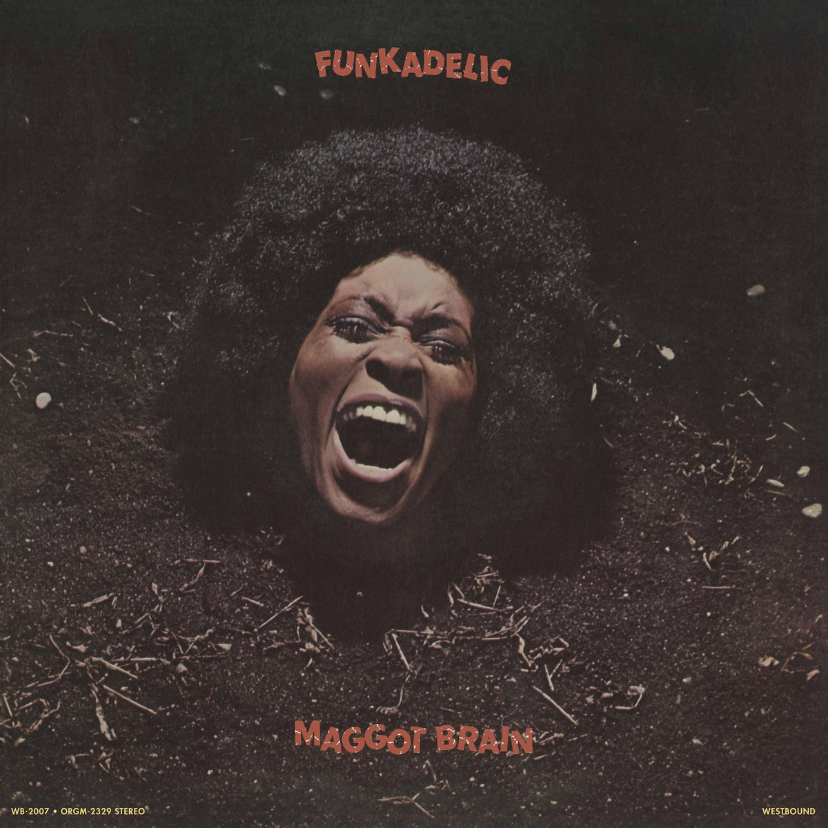 Funkadelic 'Maggot Brain'