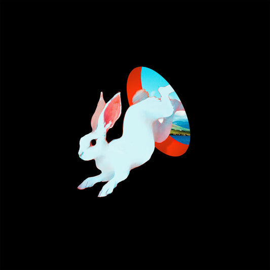 Ganser 'Animal Hospital'