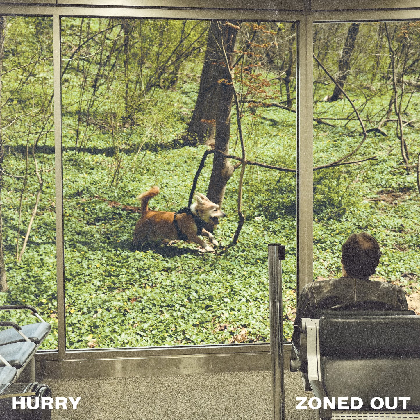 Hurry 'Zoned Out'