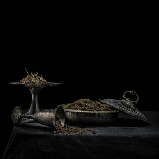 Holy Scum 'All We Have Is Never'