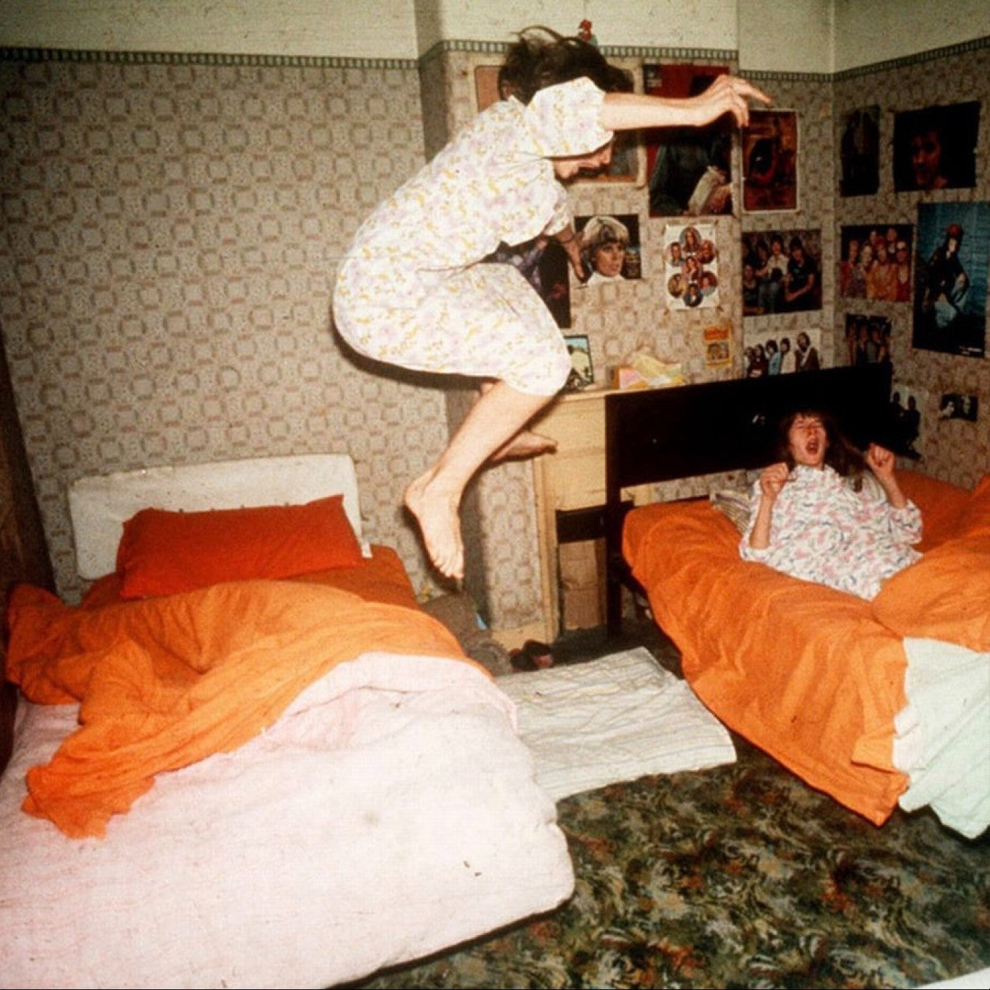 Home Is Where 'I Became Birds'