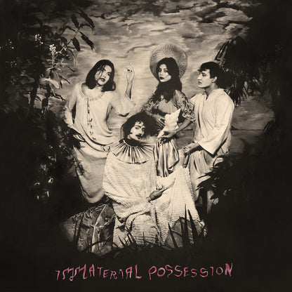 Immaterial Possession 'Mercy of the Crane Folk' Vinyl LP (Slightly Damaged Sleeve)