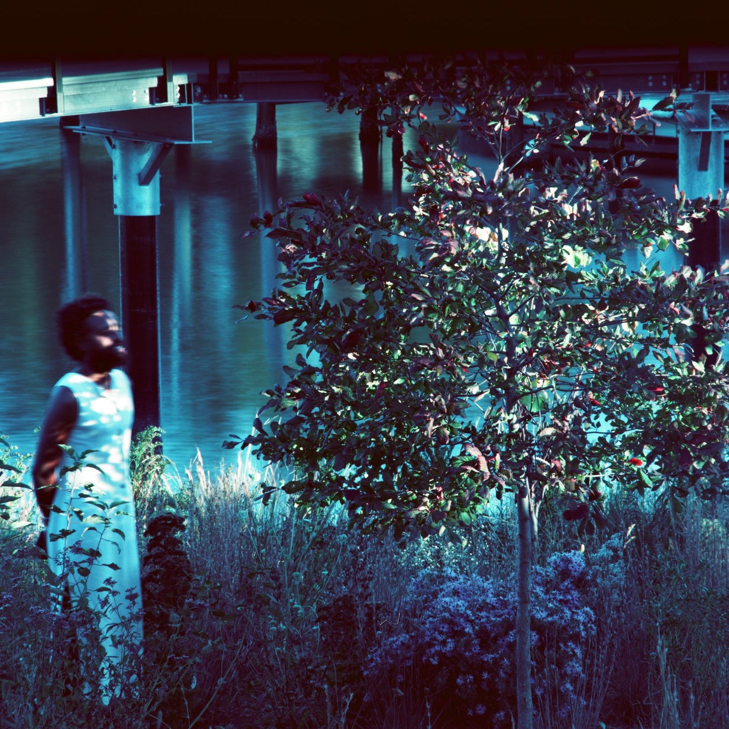 JJJJJerome Ellis 'Vesper Sparrow'