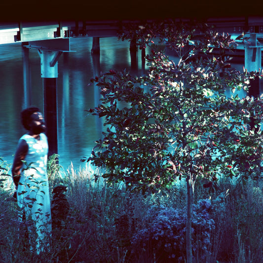 JJJJJerome Ellis 'Vesper Sparrow'