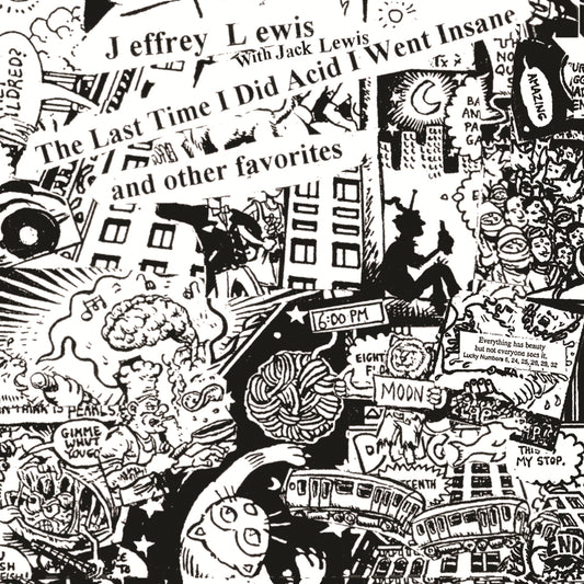 Jeffrey Lewis 'The Last Time I Did Acid I Went Insane'