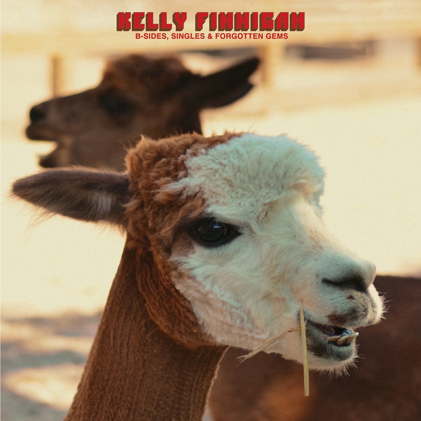 Kelly Finnigan 'B-Sides, Singles & Forgotten Gems'