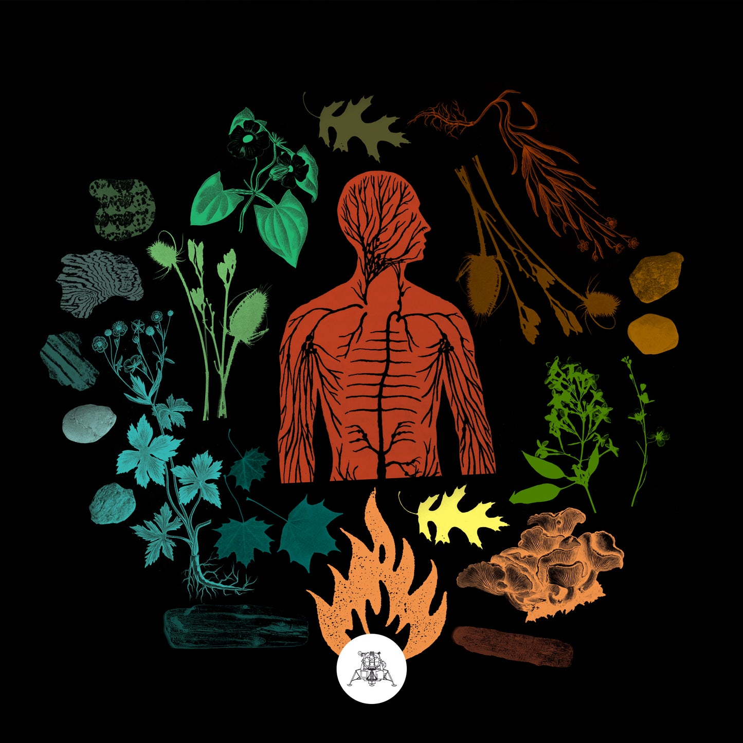 Camp Of Wolves 'Bear Creek'