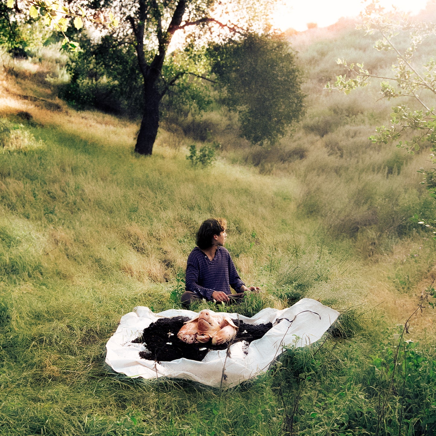 Lane Hartley 'No Home' PRE-ORDER