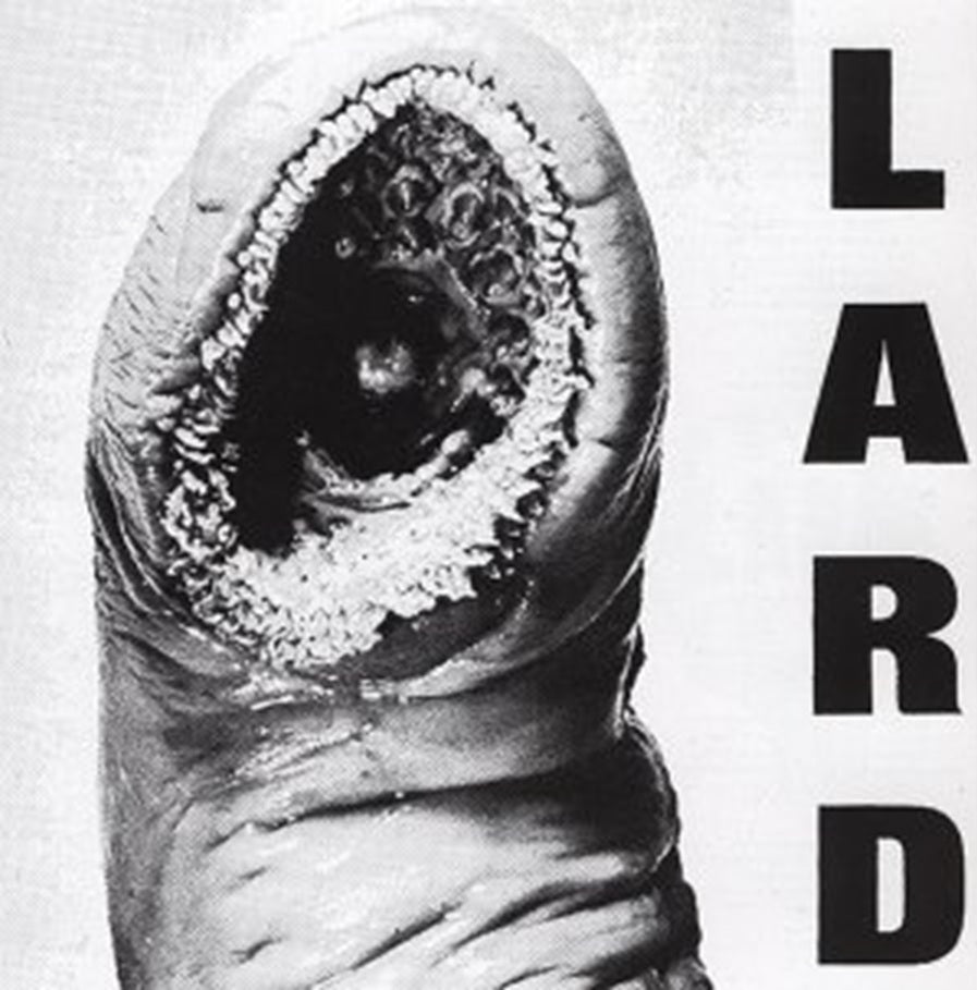 Lard 'Power Of Lard'
