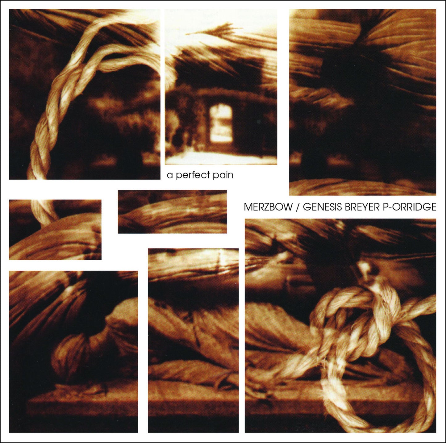 Merzbow / Genesis Breyer P-Orridge 'A Perfect Pain'