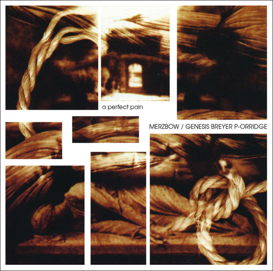Merzbow / Genesis Breyer P-Orridge 'A Perfect Pain'