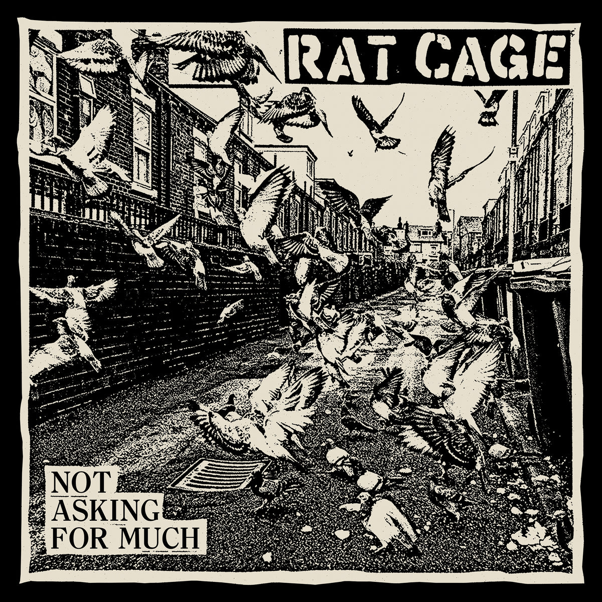 Rat Cage 'Not Asking for Much'