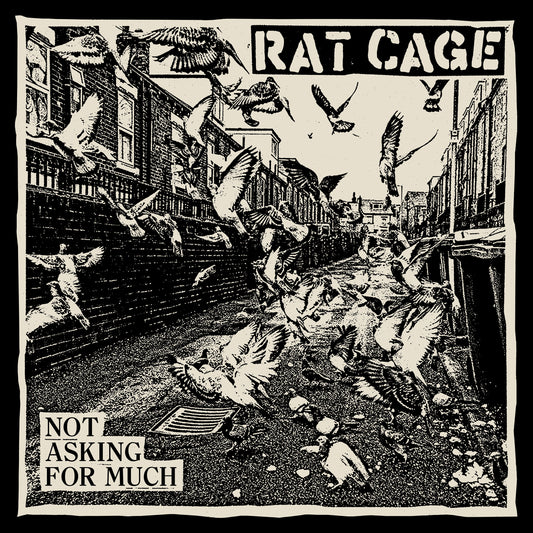 Rat Cage 'Not Asking for Much'