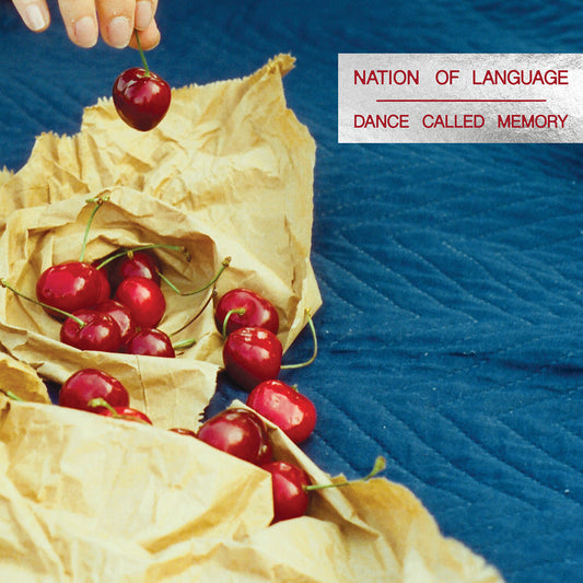 Nation Of Language 'Dance Called Memory'