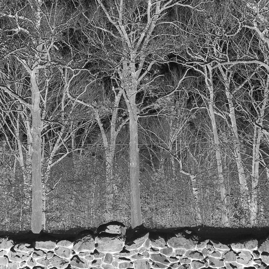 Pile 'Sunshine and Balance Beams'