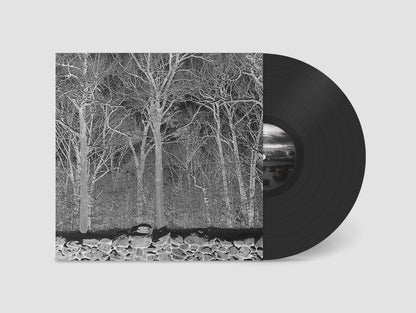 Pile 'Sunshine and Balance Beams'