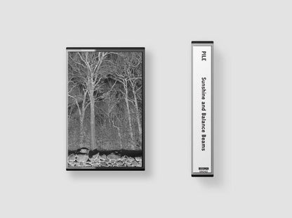 Pile 'Sunshine and Balance Beams'