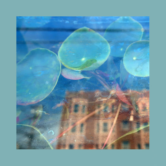 The Reds, Pinks and Purples 'Acknowledge Kindness'