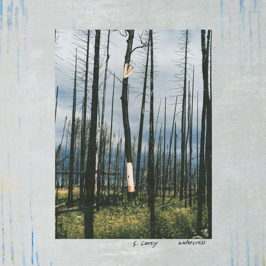 S. Carey 'Watercress'