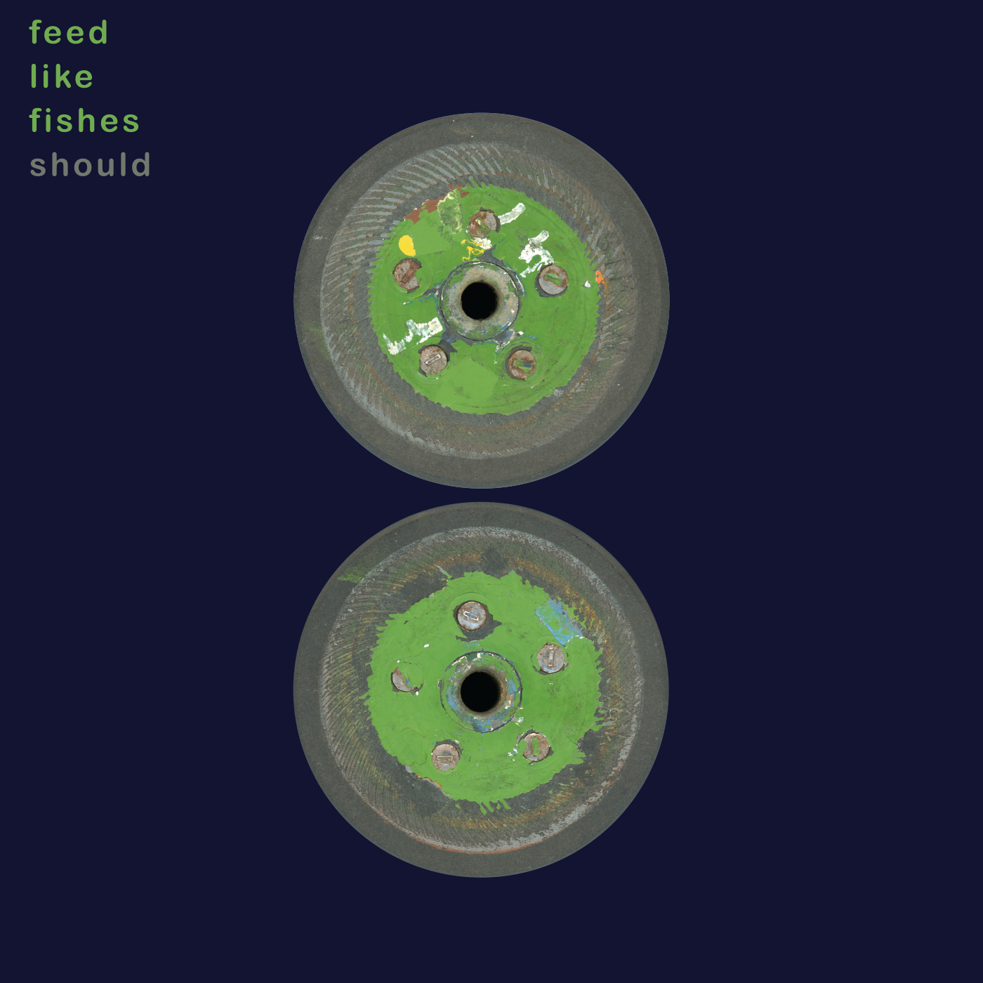 Should 'Feed Like Fishes' - Cargo Records UK