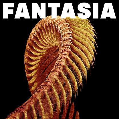 SLIFT 'Fantasia'