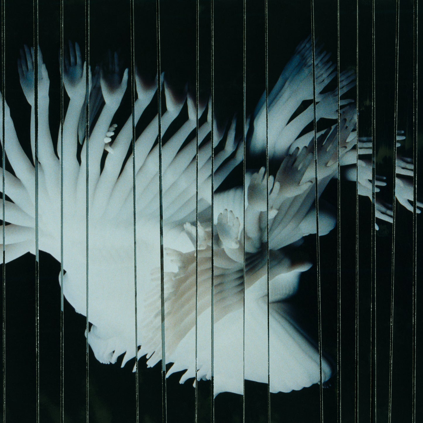 Scaler 'Endlessly'