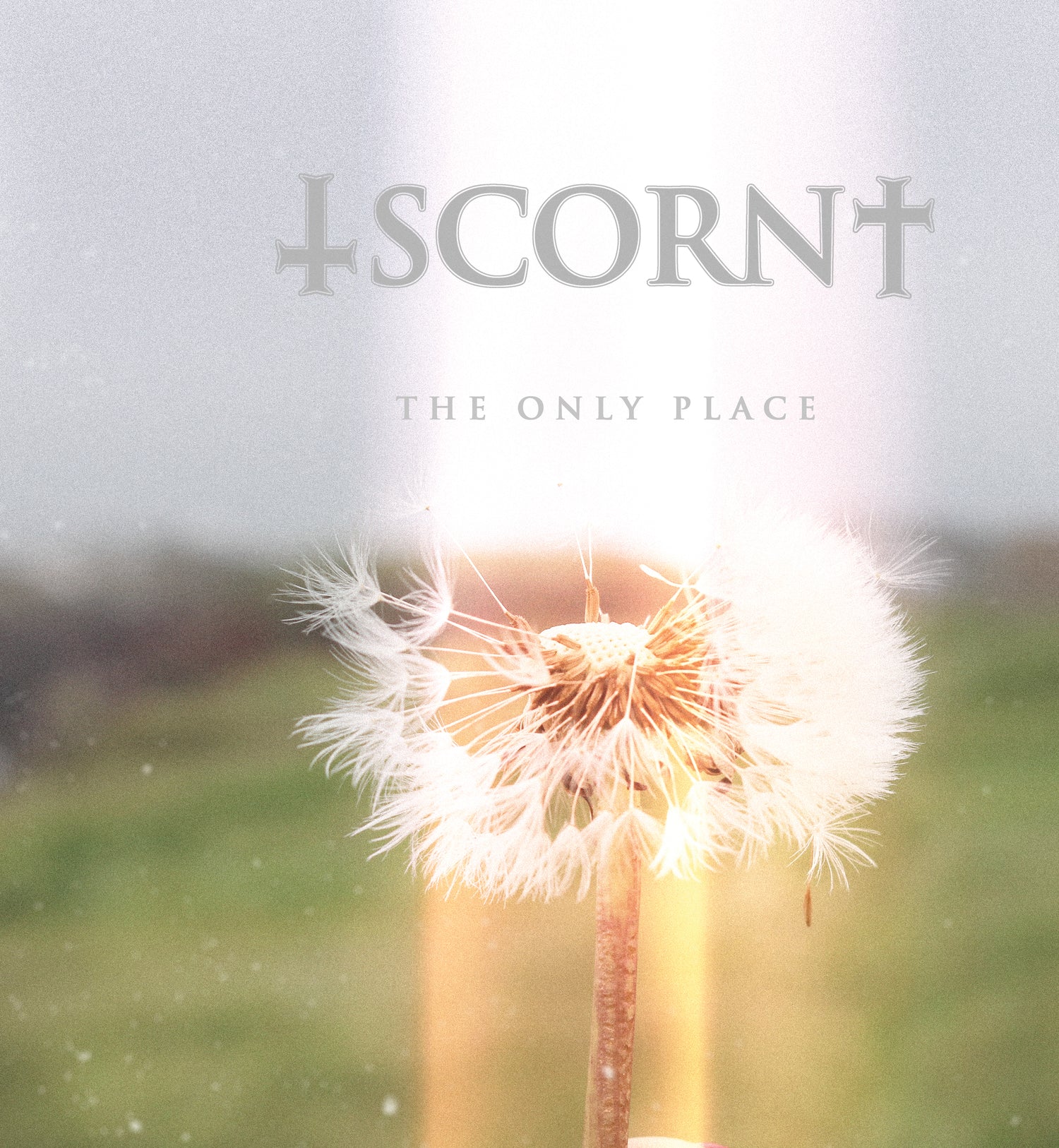 Scorn 'The Only Place' - Cargo Records UK