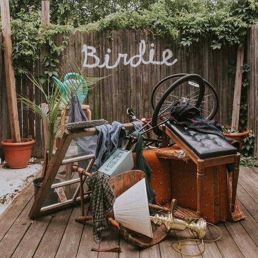 Slaughter Beach, Dog 'Birdie'