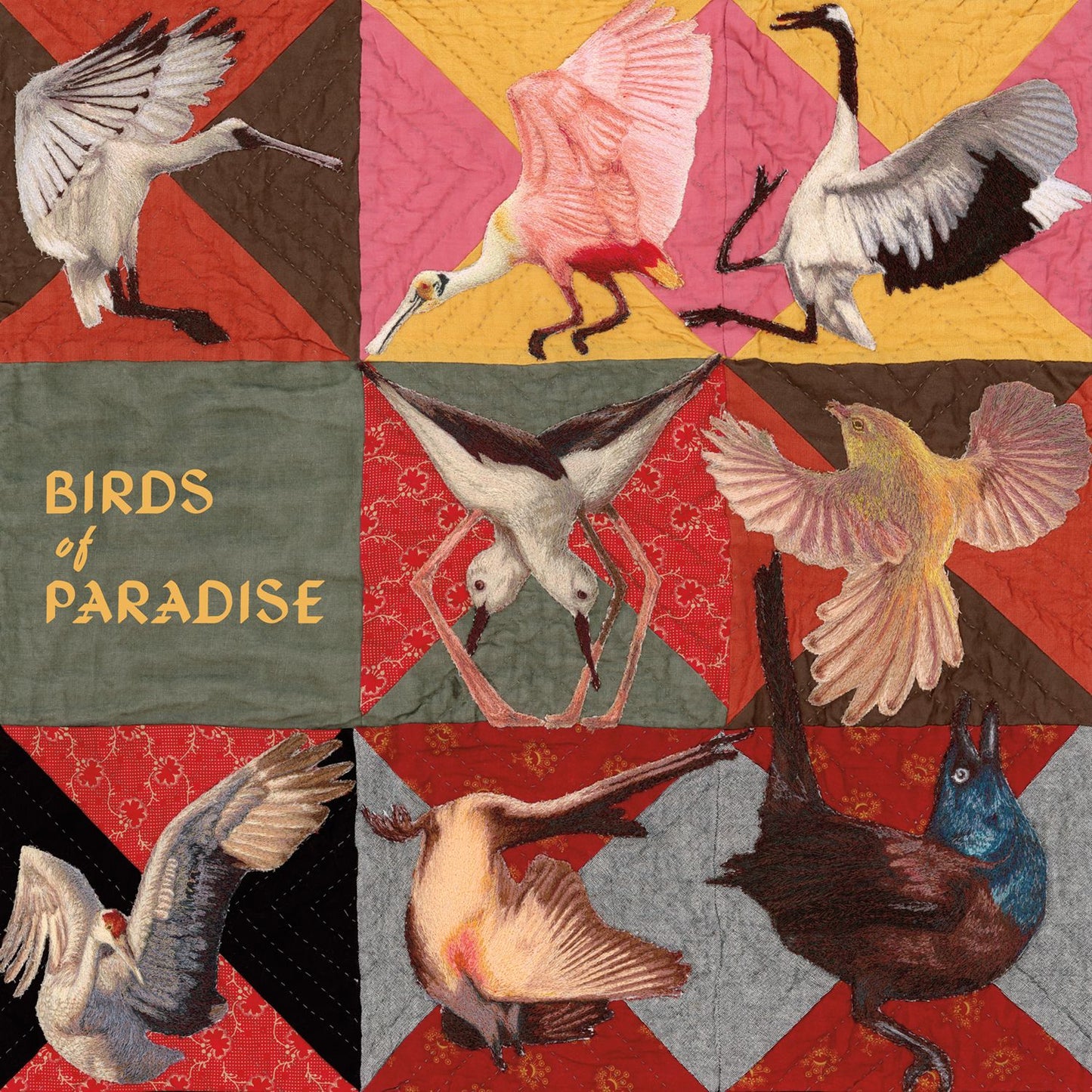 Thomas Dollbaum 'Birds of Paradise'