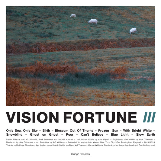 Vision Fortune 'III'