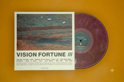 Vision Fortune 'III'