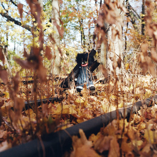 billy woods 'GOLLIWOG'