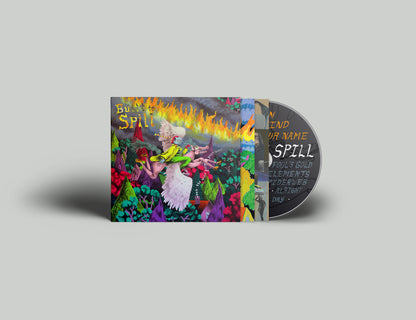 Built To Spill 'When The Wind Forgets Your Name'