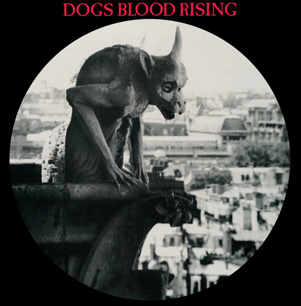 Current 93 'Dogs Blood Rising' Vinyl LP - Picture Disc