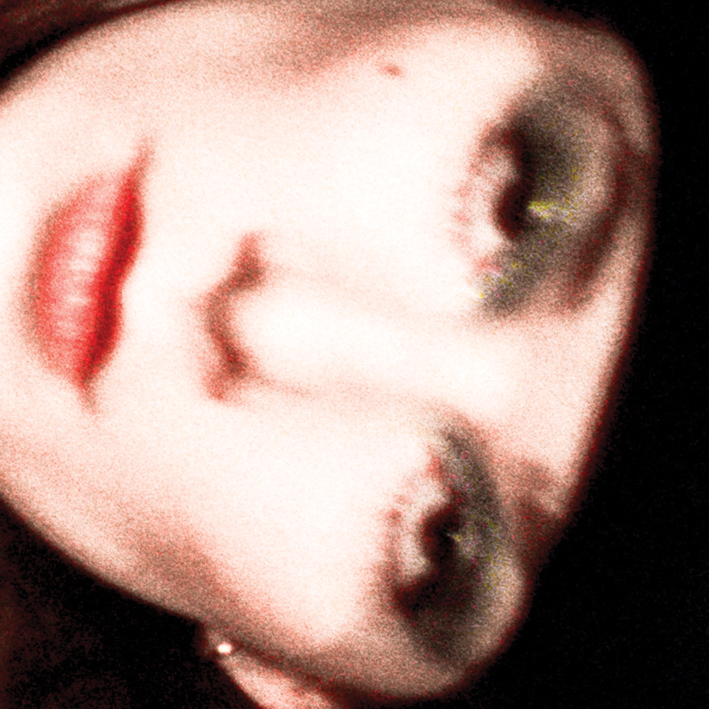 dance arts center 'dance arts center presents'