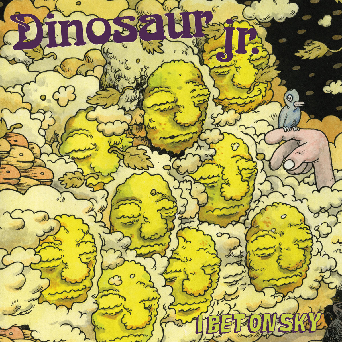 Dinosaur Jr. 'I Bet On Sky'