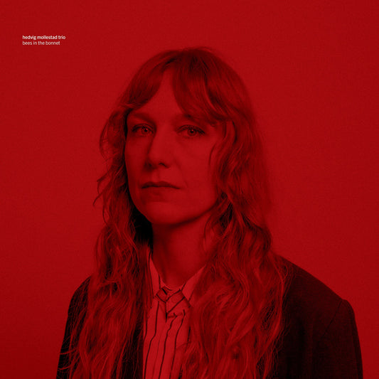 Hedvig Mollestad Trio 'Bees In The Bonnet'