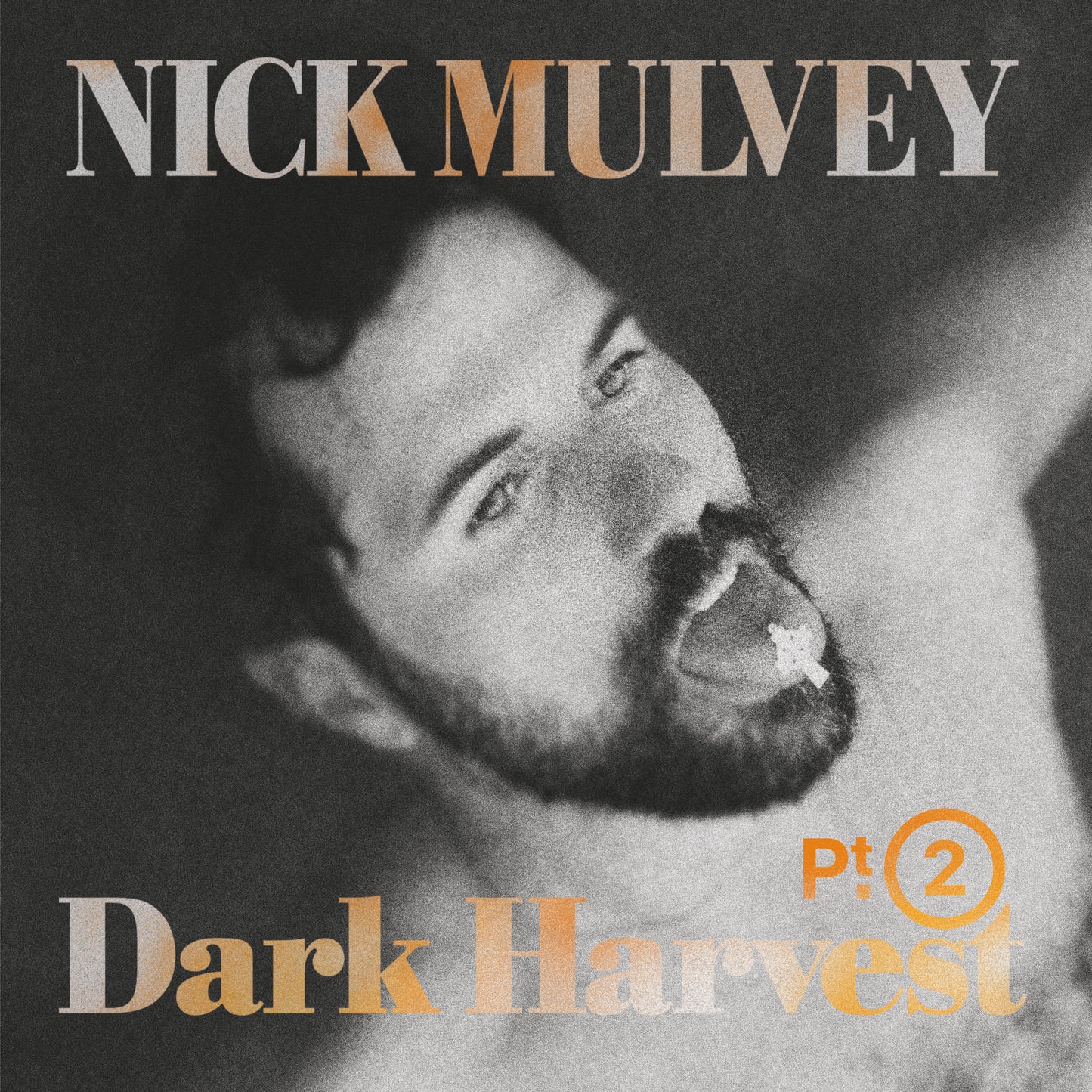 Nick Mulvey 'Dark Harvest Pt. 2'