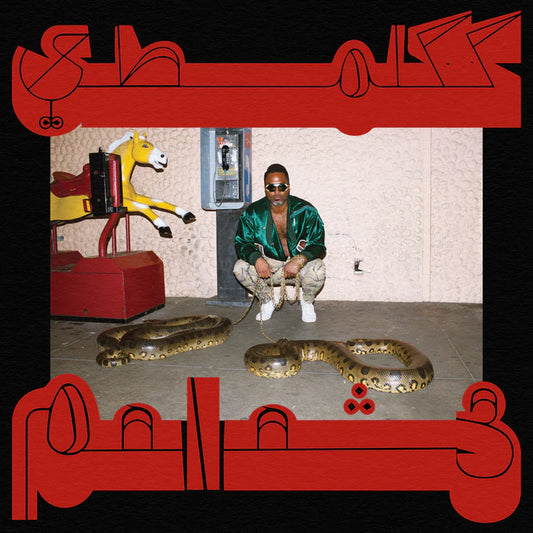 Shabazz Palaces 'Robed In Rareness'