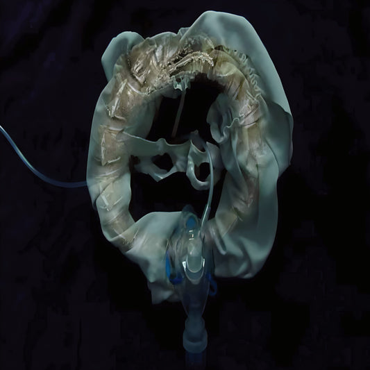 Ship Sket 'InitiatriX'