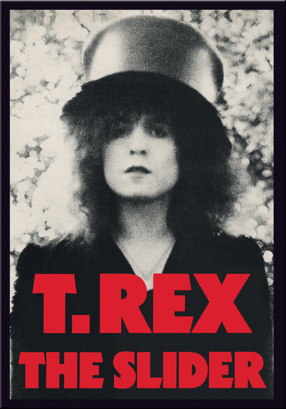 T Rex 'The Slider (Jigsaw Puzzle)'
