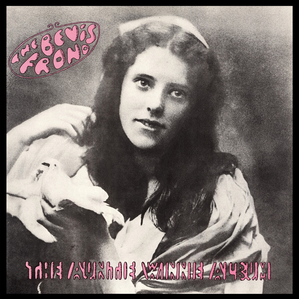 The Bevis Frond 'The Auntie Winnie Album' - Cargo Records UK