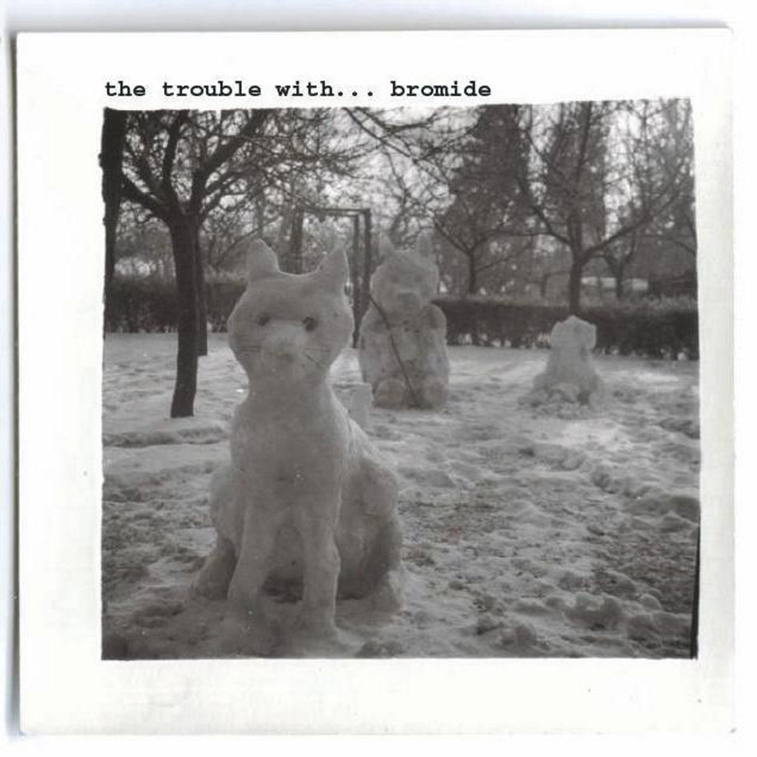 Bromide 'The Trouble With... Bromide'