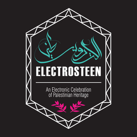 Various Artists 'Electrosteen' Vinyl LP