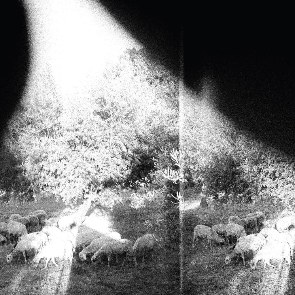 Godspeed You! Black Emperor 'Asunder, Sweet And Other Distress' - Cargo Records UK